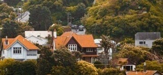 wellington-suburb_360x360_28_08_2024